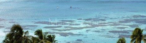 Lagon Moorea