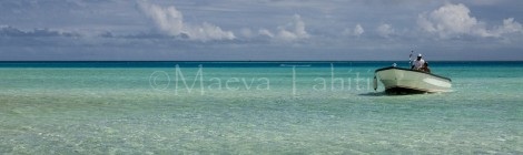ile sable rose
